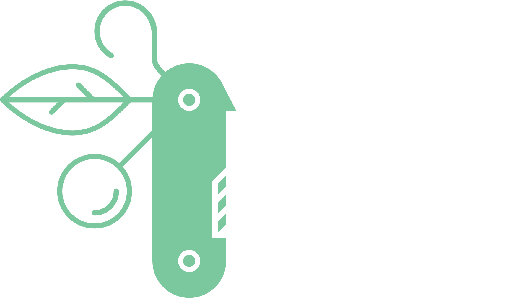 Barefootleadership